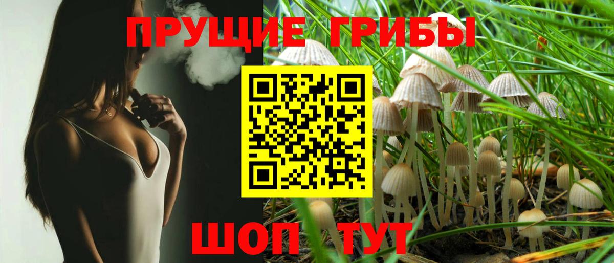 Псилоцибиновые грибы GOLDEN TEACHER  Вход с VPN  Дзержинск 